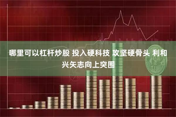 哪里可以杠杆炒股 投入硬科技 攻坚硬骨头 利和兴矢志向上突围